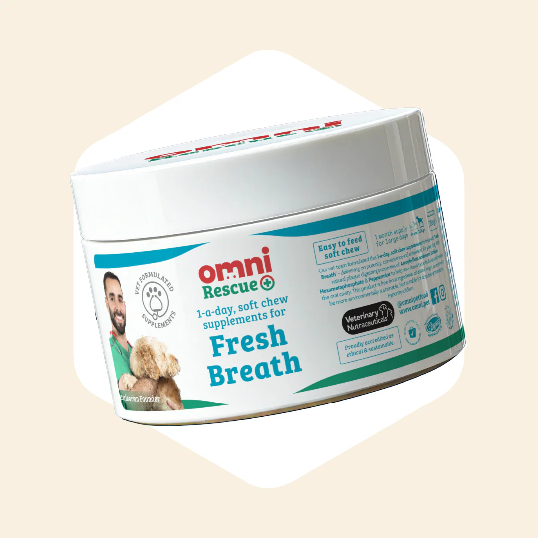 Canine Dental Health